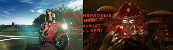 твердый Ростов