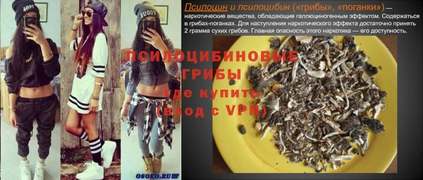 тгк Алексин