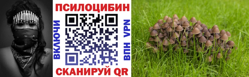 Псилоцибиновые грибы Psilocybe  Хвалынск 